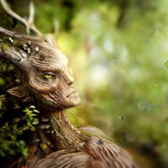 Reading (fantasy)