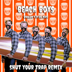 Beach Boys -  Wouldn't It Be Nice ( Shut Your Trap Remix )