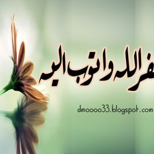 الحجرات اسامه جلال
