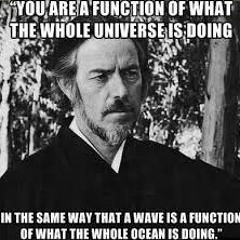 Alan Watts - What Do I Desire? Pt2