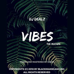 VIBES- the mixtape by dj dealz