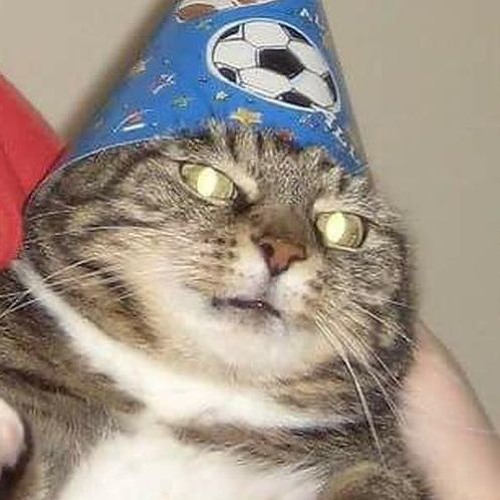 Stream Wizard cat in a wizard hat by Kelly Emm | Listen online for free on  SoundCloud