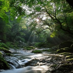 Yiruma - River Flows In You (SizzleBird Remix)