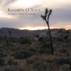 Sinkhole (Joshua Tree Session)