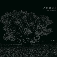 Ambur - The Self