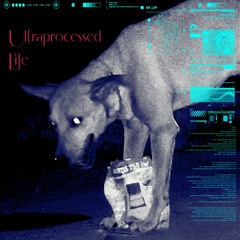 Ultraprocessed Life - Pigzen