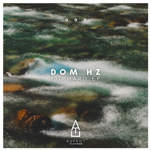 Dom Hz - Forward
