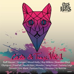 Fantom Freq & Eric Mark - It Don't Stop (Original Mix) [Cats & Boots Records]