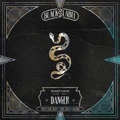 Mastadon - Danger VIP