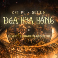 CHIPU x ĐÓA HOA HỒNG [ Acoustic Cover]