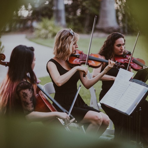Emperor Waltz (Strauss) - String Trio