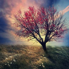 Under a Broken Sky