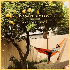 Wasted My Love (Stripped)