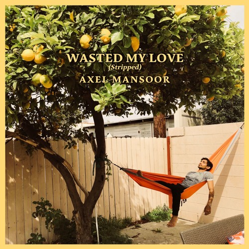 Wasted My Love (Stripped)