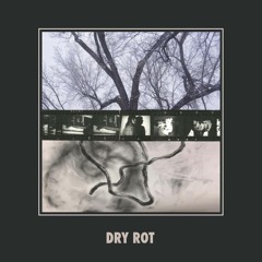 Dry Rot