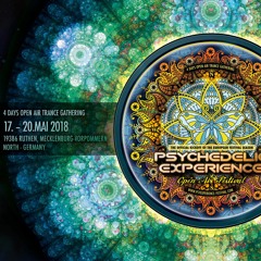 Freqtal in Chill @ Psychedelic Experience Festival 2018 (Part 1)