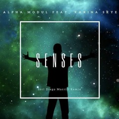 Senses (Binary Form Progressive Mix)