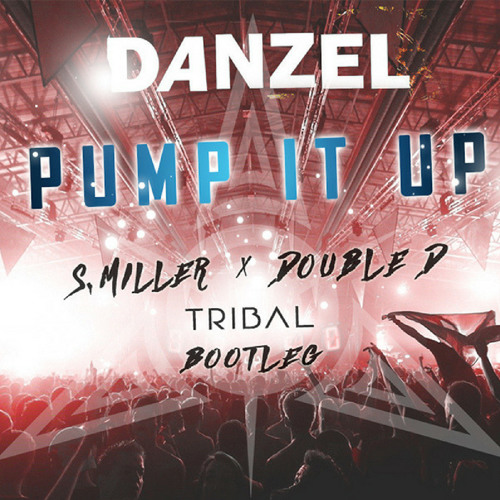 Danzel - Pump It Up (S.Miller & Double D Tribal Bootleg)