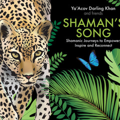 Ya'Acov Darling Khan - Shaman's Song (Sample)