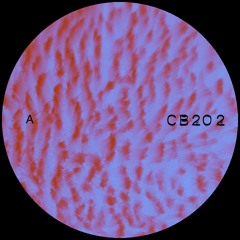 CB 202 A