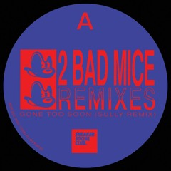 2 Bad Mice Remixes - SNKR014