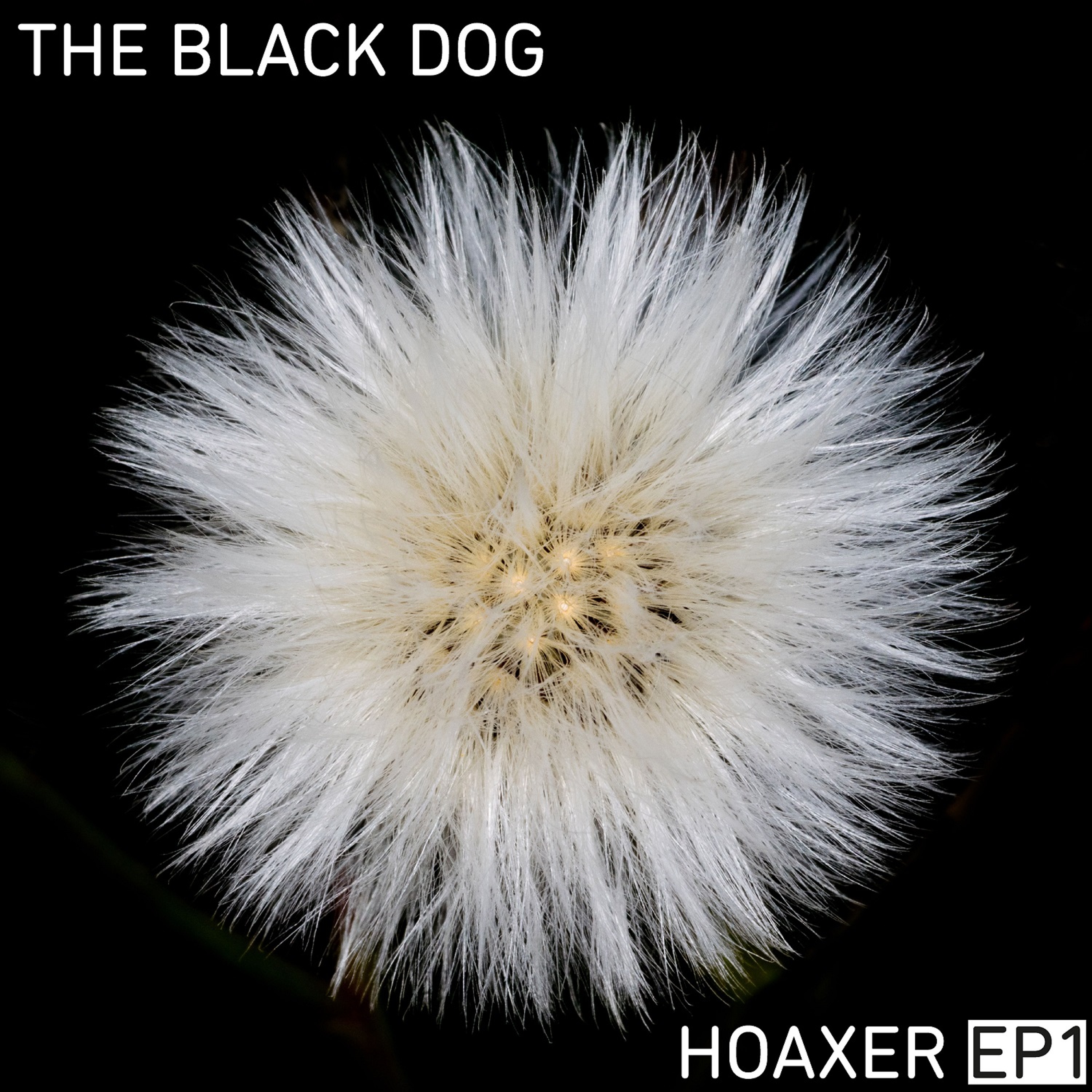 Hoaxer EP1 Previews episode artwork