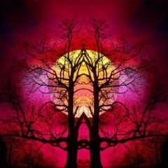 dabra - nightcrawler vol.2 (various step sound)
