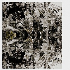 Suicide Pact (Yeah Boy)