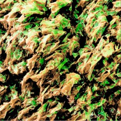 Spring II: Easy In Spring