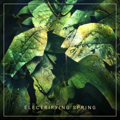 Electrifying Spring