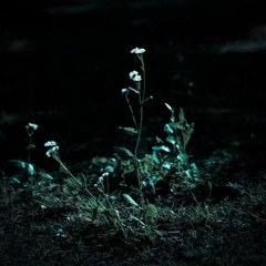 忍び寄る不和 / Creeping Discord