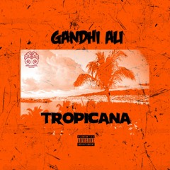 Gandhi Ali- Tropicana