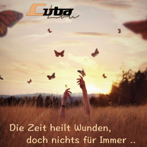 Die Zeit heilt Wunden, doch nichts für Immer