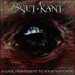 A Gaze Indifferent To Your Suffering (SINGLE)