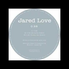 Jared Love - 0.28 - Roman Rai Remix