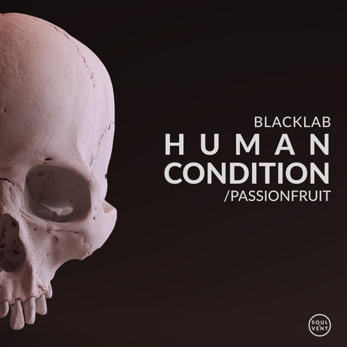 Blacklab - Passionfruit