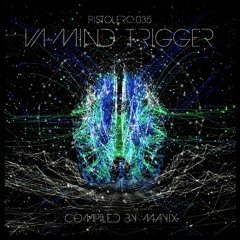 Millivolt - Schroedinger's Pony (Soluble Sounds Remix)