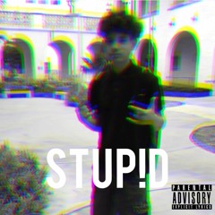 Shwiirly - STUP!D [prod. Cobis]