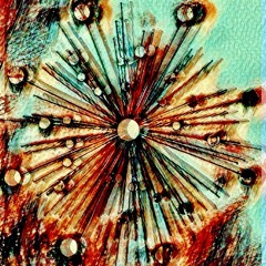 Dream But Do Not Sleep