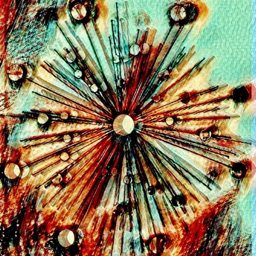 Dream But Do Not Sleep