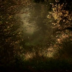the wildered Window (v0.1)