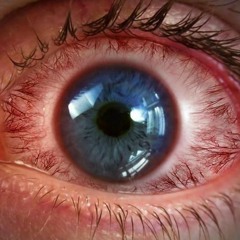 Crew 7 - Fuck The Mum