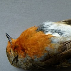 Killaz - 08BLHood Mac 10 (60.2 Bpm)