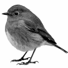 Killaz - 08BLHood Mac 11 (56 Bpm)