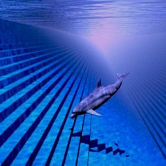 Dolphin Simulator '92 - Deep Sea