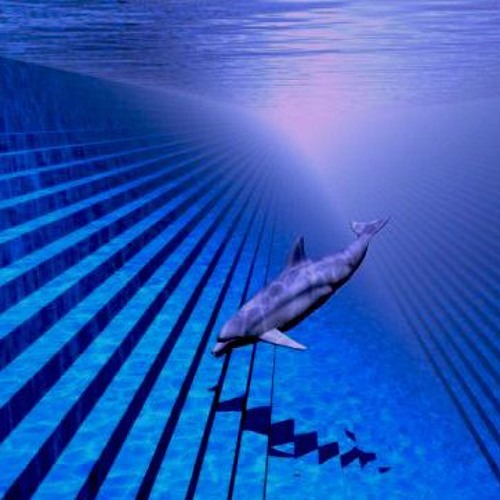 Dolphin Simulator '92 - Deep Sea