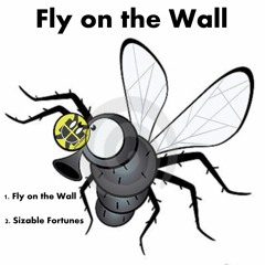 Fly On The Wall. 2 TRACK EP