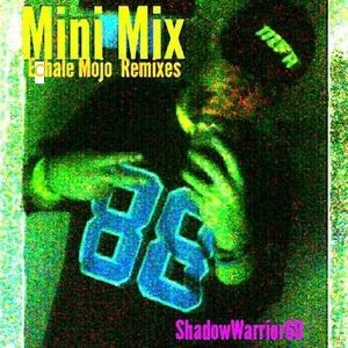 ShadowWarrior69 -Tribute to Echale Mojo Remix