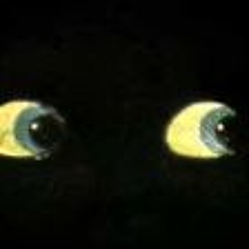 the night has opened mine eye (the smiths) (sick sad demo)