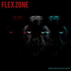 Flex Zone